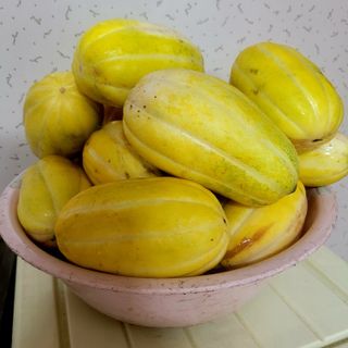 ,kim님의 윷놀이 끝! 어떠셨나요? · 참여글 작성글 사진