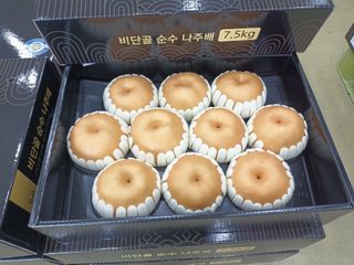 이일균님의 작성글 사진