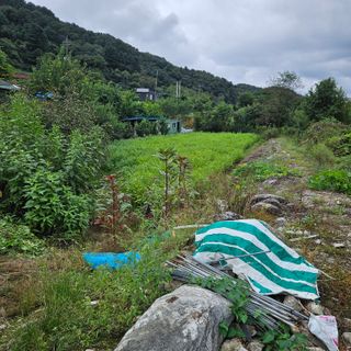 귤7305이석팔님의 윷놀이 끝! 어떠셨나요? · 참여글 작성글 사진