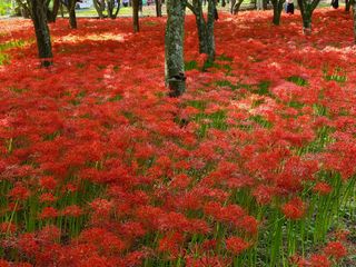 박창수님의 윷놀이 끝! 어떠셨나요? · 참여글 작성글 사진