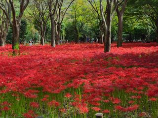 박창수님의 윷놀이 끝! 어떠셨나요? · 참여글 작성글 사진