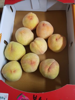 당근한개님의 자유주제 · 자유게시판 작성글 사진