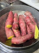 팜모닝 자유주제·자유게시판 게시글 이미지