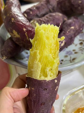 엘림농장님의 자유주제 · 자유게시판 작성글 사진