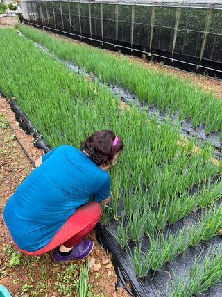 엘림농장님의 자유주제 · 자유게시판 작성글 사진