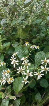 팜모닝 자유주제·자유게시판 게시글 이미지