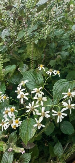 새리님의 자유주제 · 자유게시판 작성글 사진