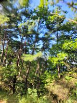 팜모닝 윷놀이 끝! 어떠셨나요?·참여글 게시글 이미지