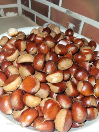 감1613님의 윷놀이 끝! 어떠셨나요? · 참여글 작성글 사진