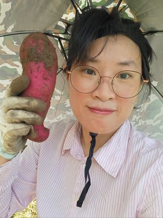 서선옥님의 감 · 영농일지 작성글 사진