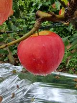 팜모닝 · 게시글 이미지