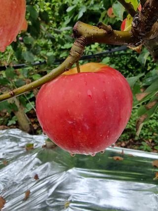 호랑이와인성이님의 작성글 사진