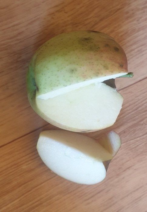 호랑이와인성이님의 장터 판매 상품 [홍로10kg5만원] 첨부 사진