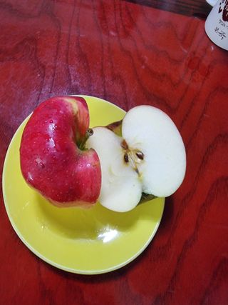 호랑이와인성이님의 작성글 사진