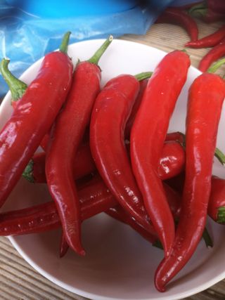 마늘15277님의 윷놀이 끝! 어떠셨나요? · 참여글 작성글 사진