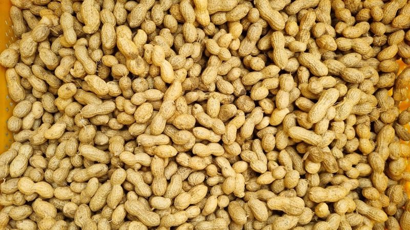 장터 상품 [토종땅콩1되] 썸네일