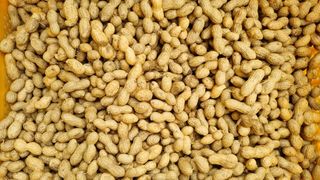 사랑으로님의 작성글 사진