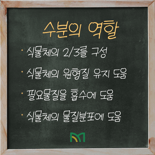 팜모닝 농사공부님의 매일매일 농사공부 · 매일매일 농사공부 작성글 사진