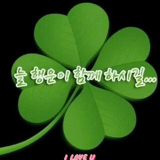 마눌님님의 윷놀이 끝! 어떠셨나요? · 참여글 작성글 사진