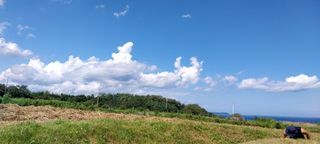 정진해님의 자유주제 · 사진전 작성글 사진