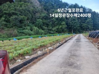 심상진님의 윷놀이 끝! 어떠셨나요? · 참여글 작성글 사진