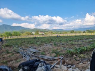 심상진님의 윷놀이 끝! 어떠셨나요? · 참여글 작성글 사진