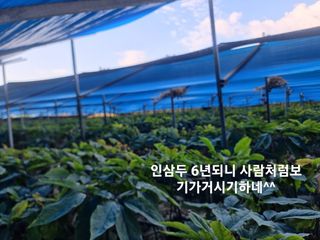 심상진님의 윷놀이 끝! 어떠셨나요? · 참여글 작성글 사진