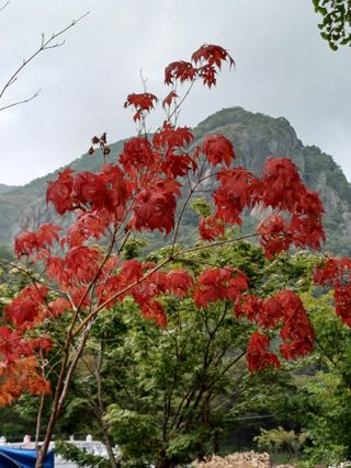 수호 (푸른바위)님의 윷놀이 끝! 어떠셨나요? · 참여글 작성글 사진