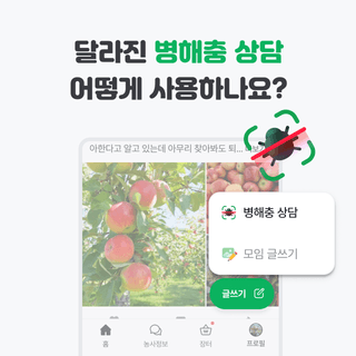 팜모닝님의 팜모닝공식 · 공지 작성글 사진