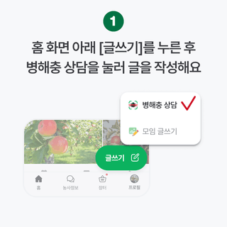 팜모닝님의 팜모닝공식 · 공지 작성글 사진