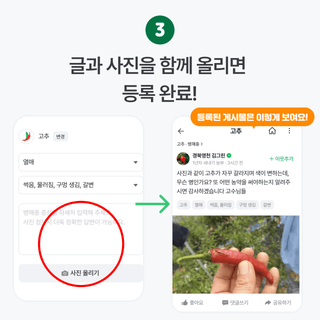 팜모닝님의 팜모닝공식 · 공지 작성글 사진