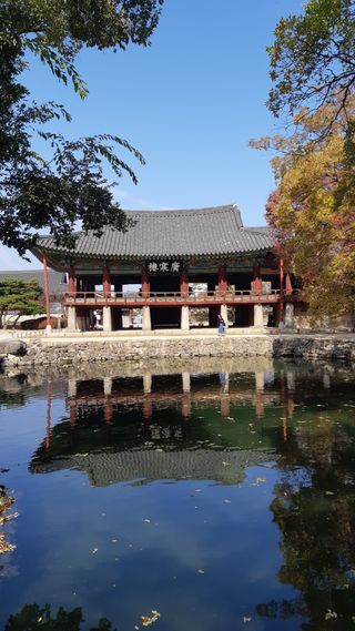 밭농사200평님의 윷놀이 끝! 어떠셨나요? · 참여글 작성글 사진