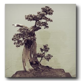 밭농사200평님의 윷놀이 끝! 어떠셨나요? · 참여글 작성글 사진