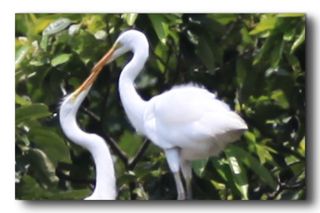 밭농사200평님의 윷놀이 끝! 어떠셨나요? · 참여글 작성글 사진