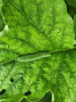 조용오님의 자유주제 · 자유게시판 작성글 사진