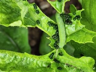 조용오님의 자유주제 · 자유게시판 작성글 사진