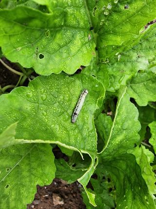 조용오님의 자유주제 · 자유게시판 작성글 사진
