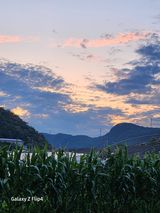 팜모닝 윷놀이 끝! 어떠셨나요?·참여글 게시글 이미지