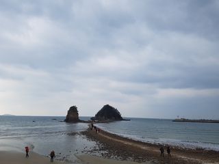 Joosoungso님의 윷놀이 끝! 어떠셨나요? · 참여글 작성글 사진