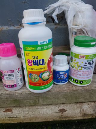 문성농장15146님의 감 · 영농일지 작성글 사진