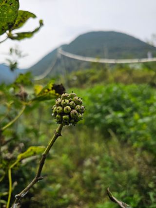 김윤숙님의 자유주제 · 자유게시판 작성글 사진
