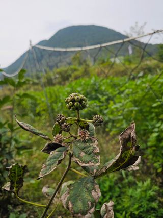 김윤숙님의 자유주제 · 자유게시판 작성글 사진