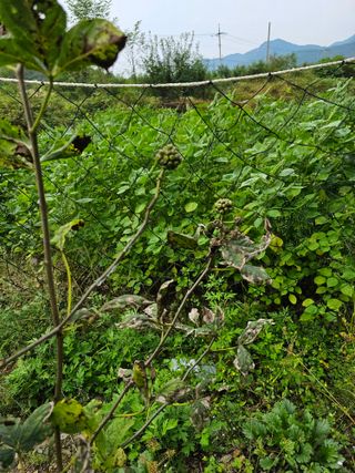 김윤숙님의 자유주제 · 자유게시판 작성글 사진