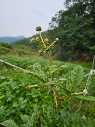 김윤숙님의 자유주제 · 자유게시판 작성글 사진