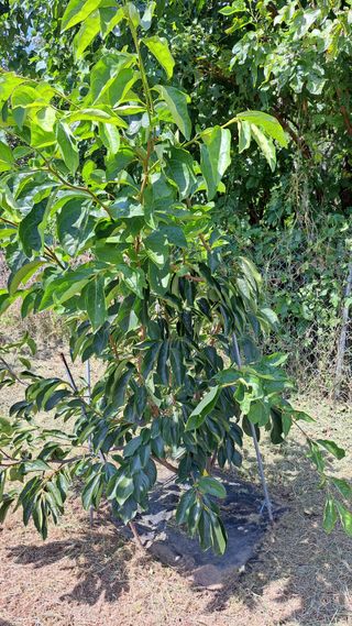 주윤발이님의 자유주제 · 자유게시판 작성글 사진