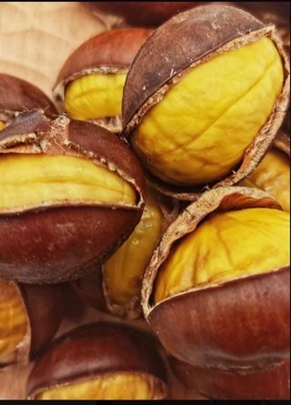 알 수 없음님의 작성글 사진