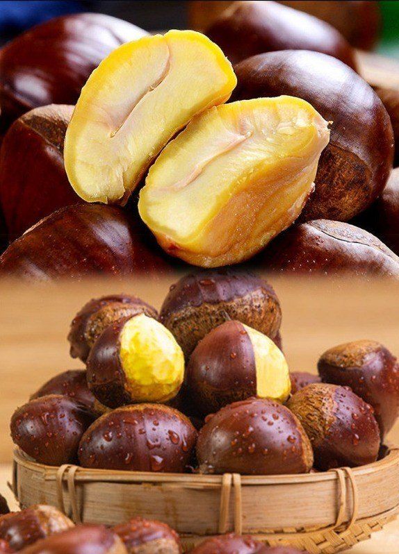 알 수 없음님의 장터 판매 상품 [23년산    햇  밤   500gㅡ3키로  ] 첨부 사진