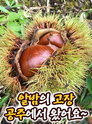 알 수 없음님의 작성글 사진