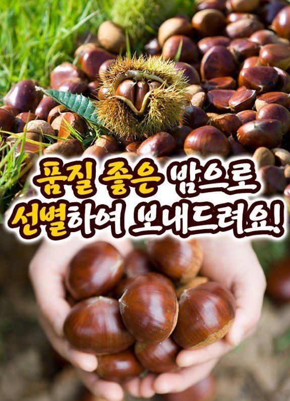 알 수 없음님의 장터 판매 상품 [23년산    햇  밤   500gㅡ3키로  ] 첨부 사진