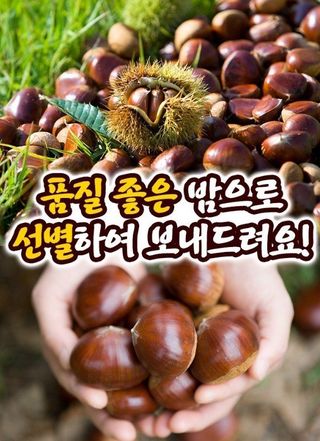 알 수 없음님의 작성글 사진